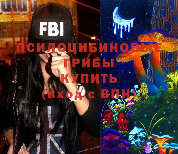 герыч Протвино