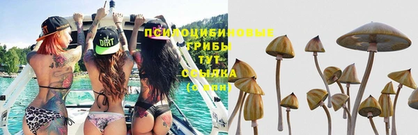МДПВ Алексеевка